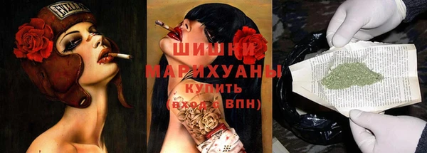 соль ск Бородино