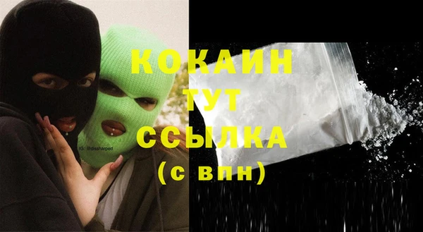 соль ск Бородино
