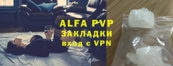 PSILOCYBIN Бронницы