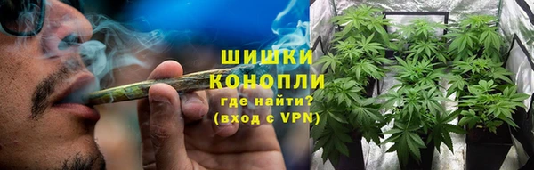 ПСИЛОЦИБИНОВЫЕ ГРИБЫ Верея